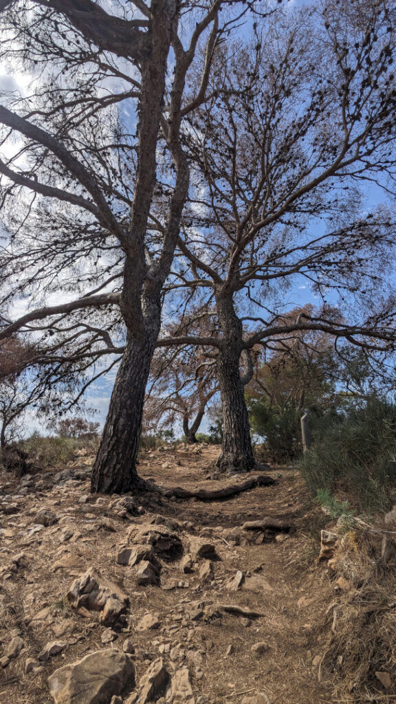 Sendero del Cerro Gordo