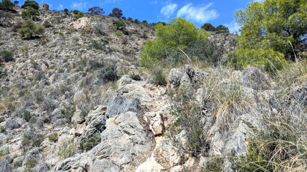 Sendero del Cerro Gordo